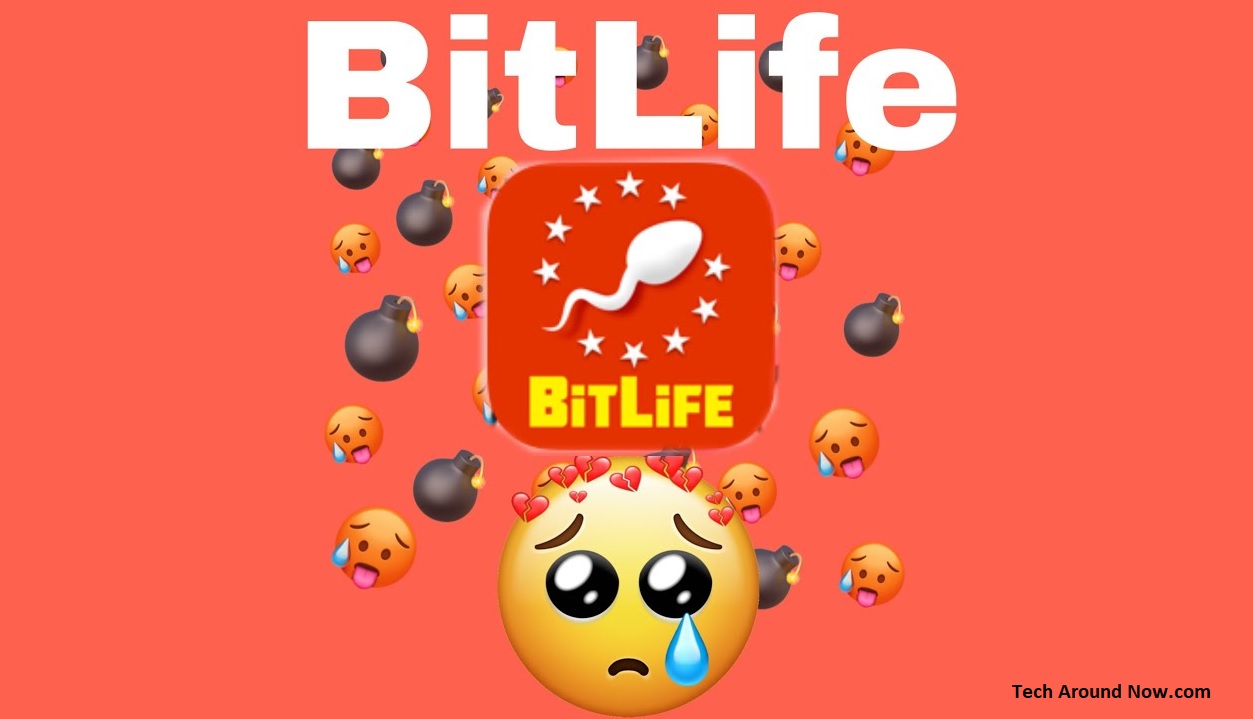 bitlife